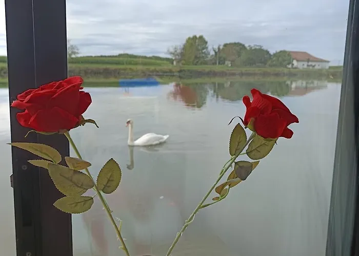 Le Rivage Landais Tekne *