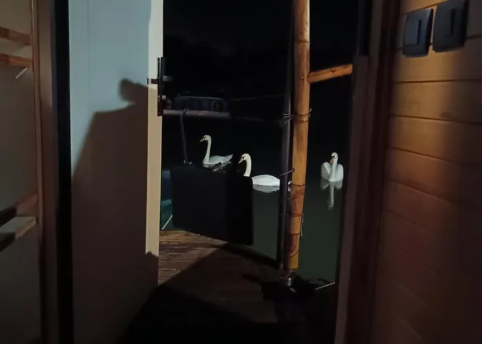 Le Rivage Landais Tekne