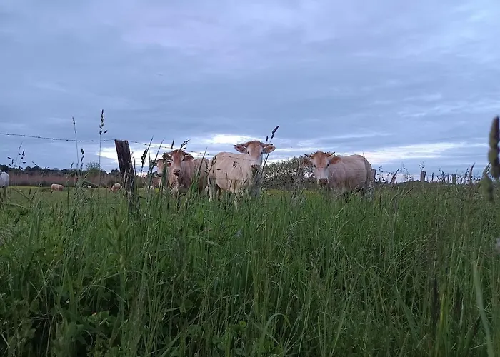 Le Rivage Landais Tekne